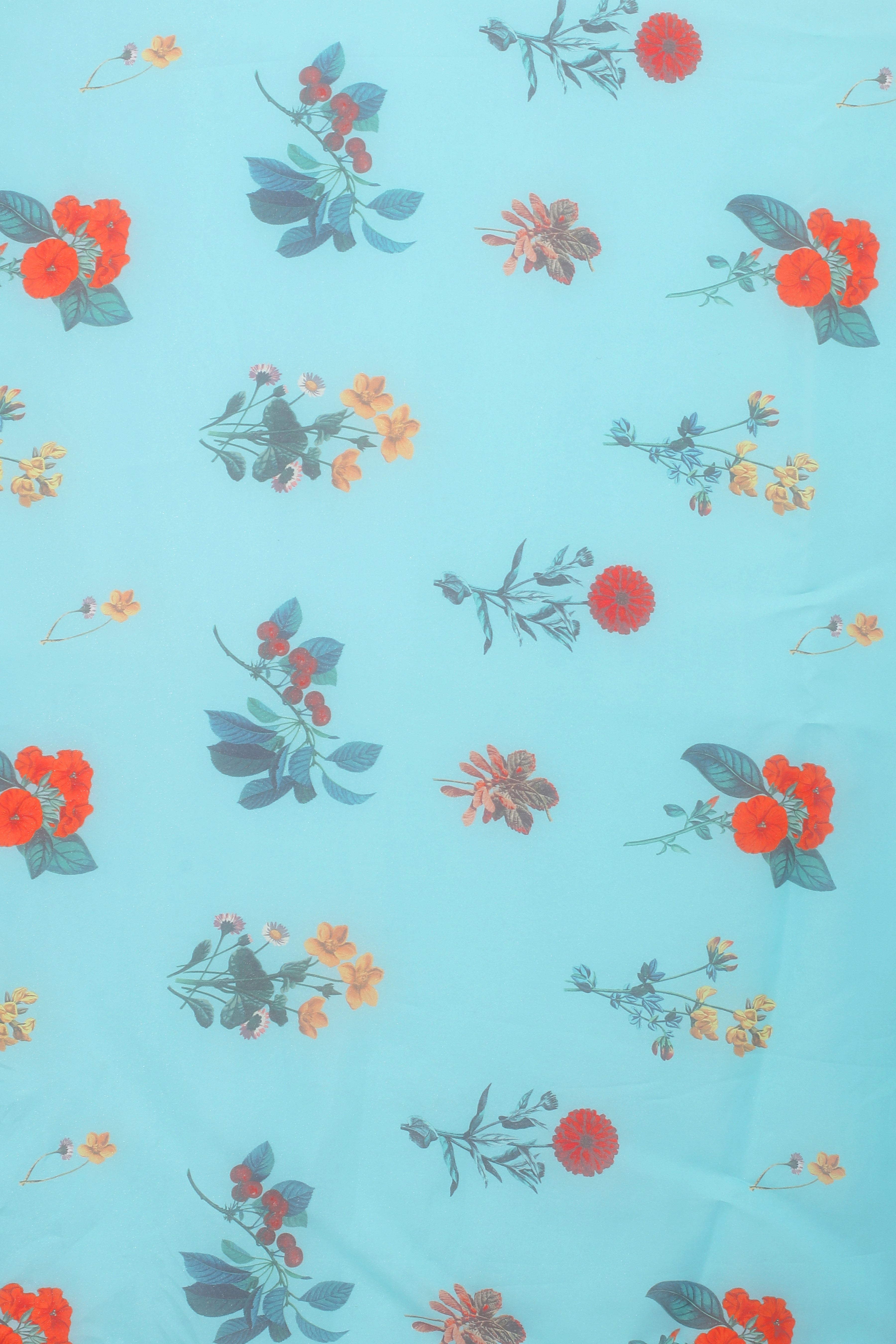 Blue and Orange Organza Floral Printed Fairly Saree