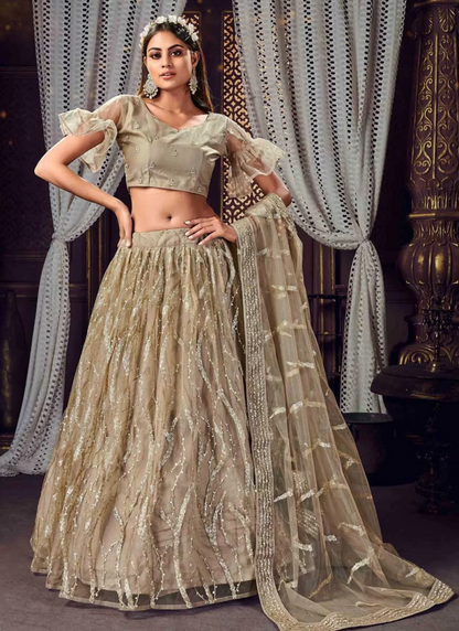Ash Grey color Lehenga choli with sequence work