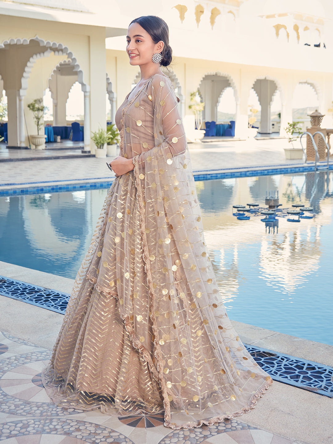 Brown color Lehenga choli with sequence work