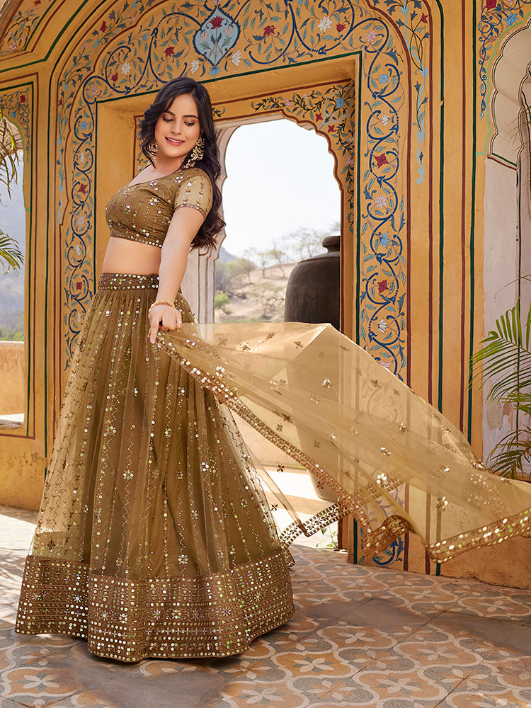 Brown Soft Net Sequins Embroidered Lehenga Choli