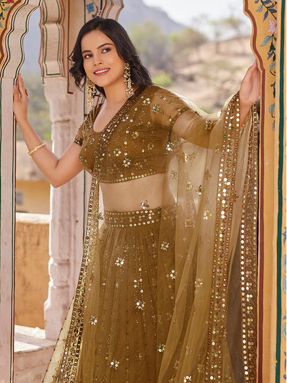 Brown Soft Net Sequins Embroidered Lehenga Choli