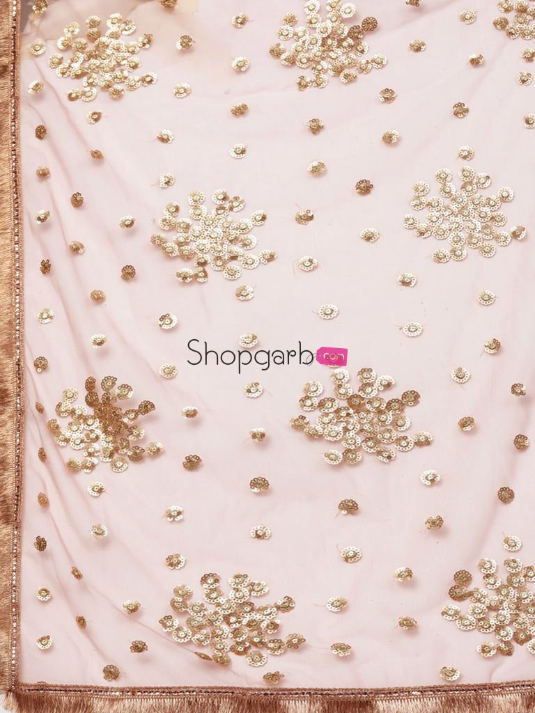 Woman Pink & Golden Color Solid Semi-Stitched Lehenga Unstitched Blouse With Dupatta