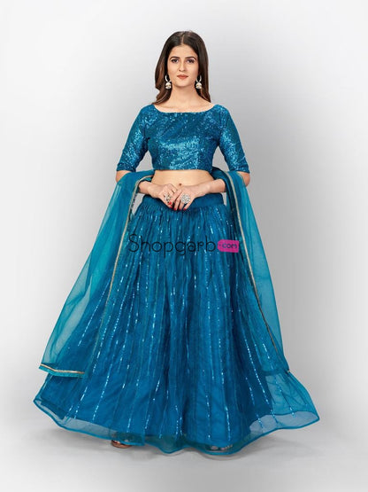 Wonderful Awesome Rama Soft Net & Heavy Sequence Work